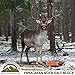 Mossy Oak Himalayan Nature Animal Licking Salt Mineral Block,100% Natural Rock Salt - Deer Attractant Rock | 6-8 LBS