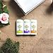 Stinkbug Naturals Lavender Deodorant Stick