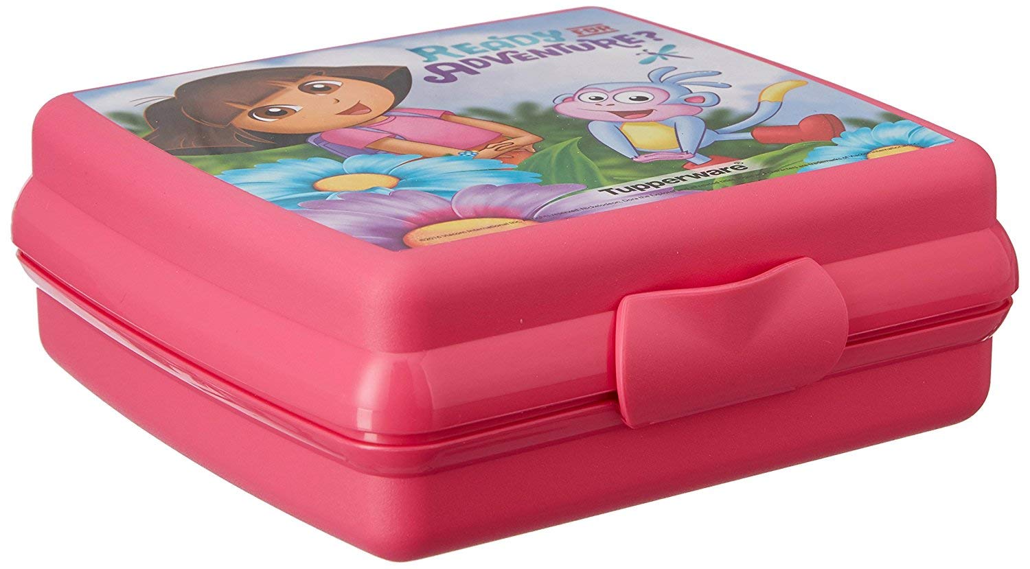 Buy Tupperware Dora Sandwich Keeper Lunch Box Online at Low Prices in