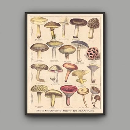 Pinturas murales Decoración para el hogar Imágenes de alta definición