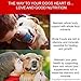 Standard Process - Canine Whole Body Support - Daily Supplement for Dogs - 100 Grams