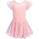 Zaclotre Girls Ballet Leotards Ruffle Sleeve Sparkle Dance Leotard Toddler Ballerina Dress Outfits