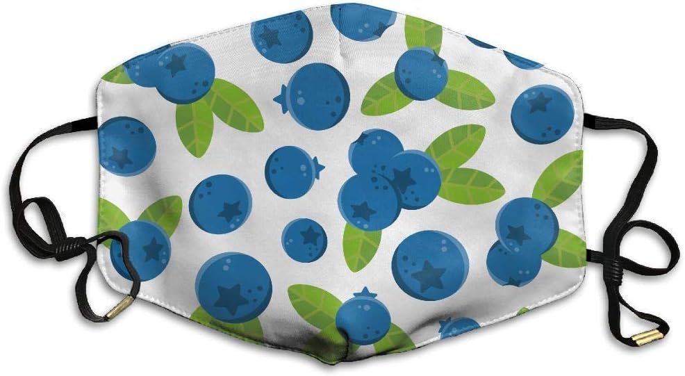Mouth Mask, Dust Masks, Flu Allergens Masks Blueberry Fruit Pattern Anti Dust Face Mouth Mask Man Woman