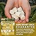 Seva Foods 2-Pack Organic Vanilla & Strawberry Space Ice Kream (Freeze Dried Ice Cream), 3 oz Total Weight - 20 Pieces