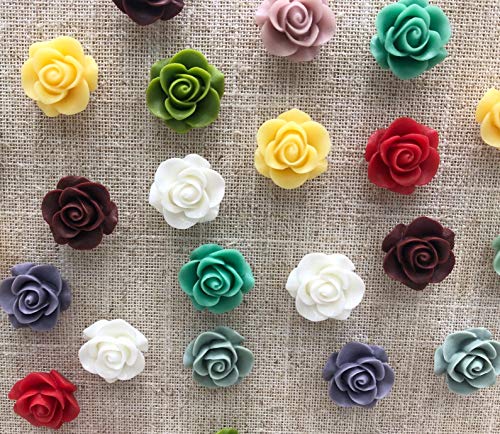 30Pcs Decorative Pushpins,Cork Board Tacks,Bulletin Board Tacks,Thumb Tack Decorative for CorkBoard, Office Organization or Home (Assorted Color 1)