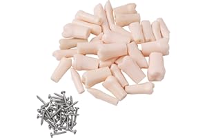 Healthible Kilgore Typodont Teeth - Nissin Typodont Teeth Dental Typodont Removable Teeth Kilgore Nissin Teeth with Screws（32Pcs/Set）