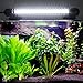 MingDak LED Aquarium Light Kit for Fish Tank,Underwater Submersible Crystal Glass Lights Suitable for Saltwater and Freshwater,42 LEDs,14.5-inch,Lighting Color White