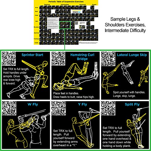 image for Stack 52 Suspension Exercise Poster: Periodic Table of Suspension Exer
