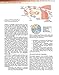 Yen & Jaffe's Reproductive Endocrinology: Physiology, Pathophysiology, and Clinical Management (Expert Consult - Online and Print)
