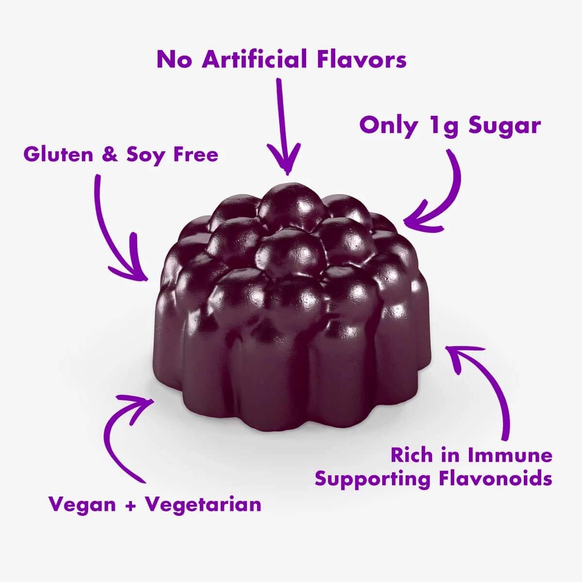 Sambucol Black Elderberry Gummies, 30 Gummies: Health & Personal Care