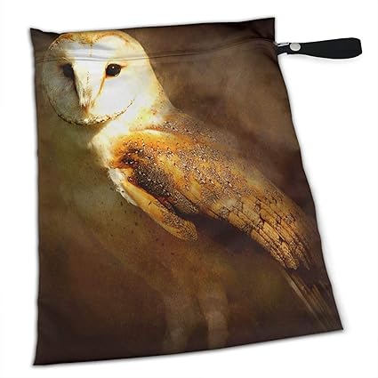 Amazon Com Niaobudai Different Animal Barn Owl Bird Paintings