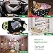 Huanlemai Green Activated Bamboo Charcoal Bags for Home, Office & Car, Moisture and Odor Absorber, Smell Eliminator, Nature Closet Shoe Gym Bag Deodorizer