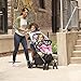 Evenflo Sibby Travel System, Highline Gray