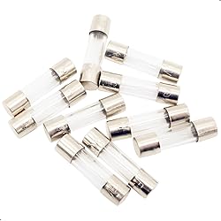 SIXQJZML 10 Pack F5AL Fast-Blow Fuse 5A Max 5 amp