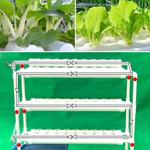 LianDu Kit de Cultivo Hidropónico 90 Sitios de Plantas 3 Capas ...