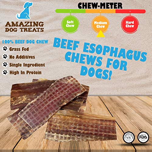 Beef Esophagus Jerky for Dogs ( 6 Inch 25 Pc/ Pack) Beef Gullet Dog