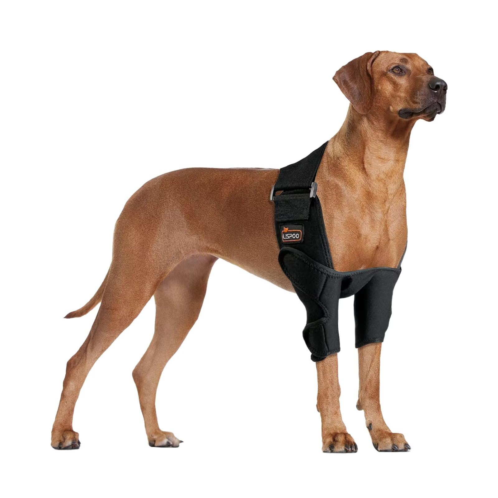 Photo 1 of TIPOOP Dog Elbow Brace XL – Extra Support for Elbow Injuries, Dysplasia, Arthritis – Large Breed Recovery Pads – Secure, Comfortable Fit for Rottweilers, Mastiffs, Dobermans