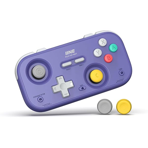 Amazon.com: IINE Mini Retro Wireless Controller, Micro Remote