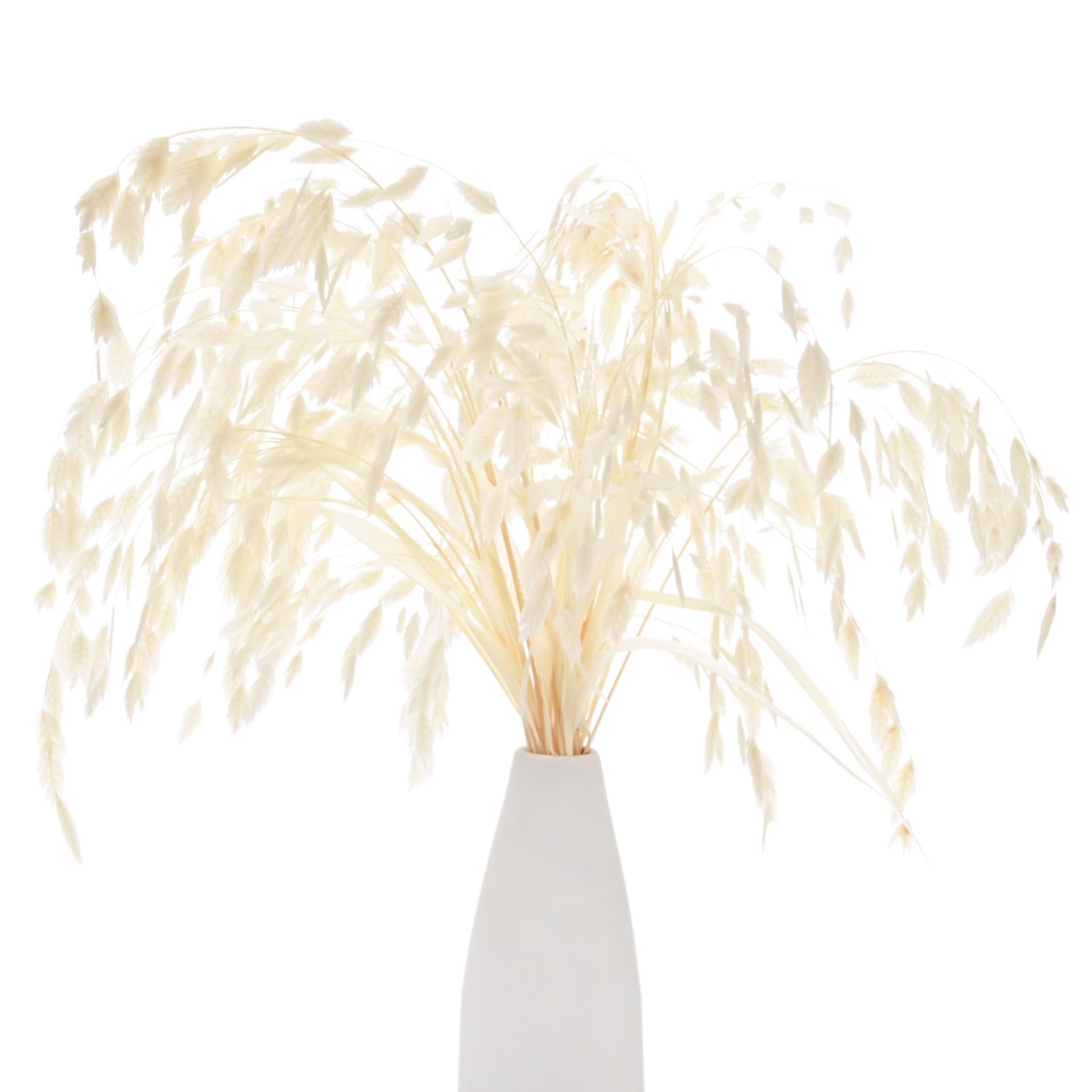 Photo 1 of M METERXITY 20-Pack Dried Grass Bundle 17" Chasmanthium Dry Flower Bouquet Dried Oat Grass for Vase Filler/Home Decor Dried Flowers Arrangement Real Plant with Greenery Stems [Cream White]