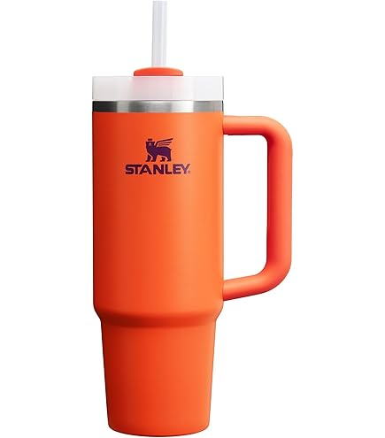 Amazon.com: STANLEY Adventure Eucalyptus 30oz - Reusable