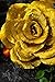 MEJOY 5 Large Crepe Paper Flowers,Handcrafted Flowers,Nursery Wall,Metallic Gold Rose Flower,for Wedding Backdrop, Gold Bachelorette,Baby Shower,Photo Backdrop,Gatsby Nursery,Archway Decor