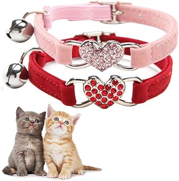 kitten collar with bell