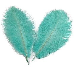 Lampu 10pcs Ostrich Feathers 12-14