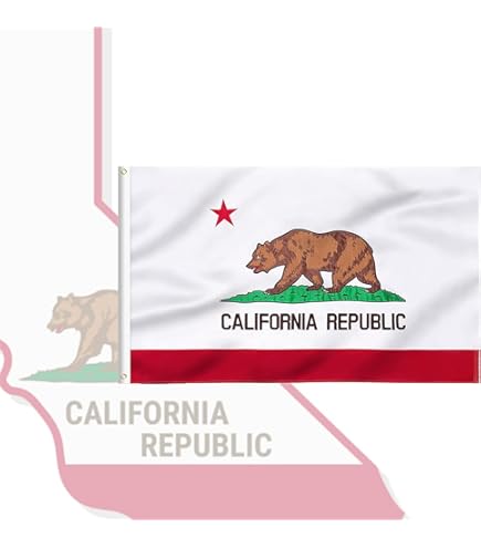 Amazon.com : California Flag (5 ft. x 8 ft.) : Outdoor Flags