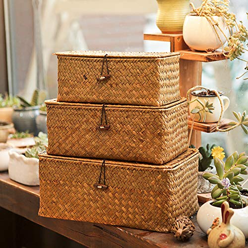 Yesland Woven Wicker Storage Bins with Lid Set of 3 Rectangular