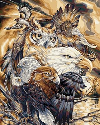 Plaid Creates Plaid Paint By Number Kit Sky Kings 2 Size 16 Inch Amazon Sg Home