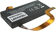 Lenmar Replacement Battery for iPod classic 5G (30 GB)