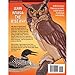 Intarsia Birds: Woodworking the Wise Way (A Sawdust Scroll Saw Project Book)