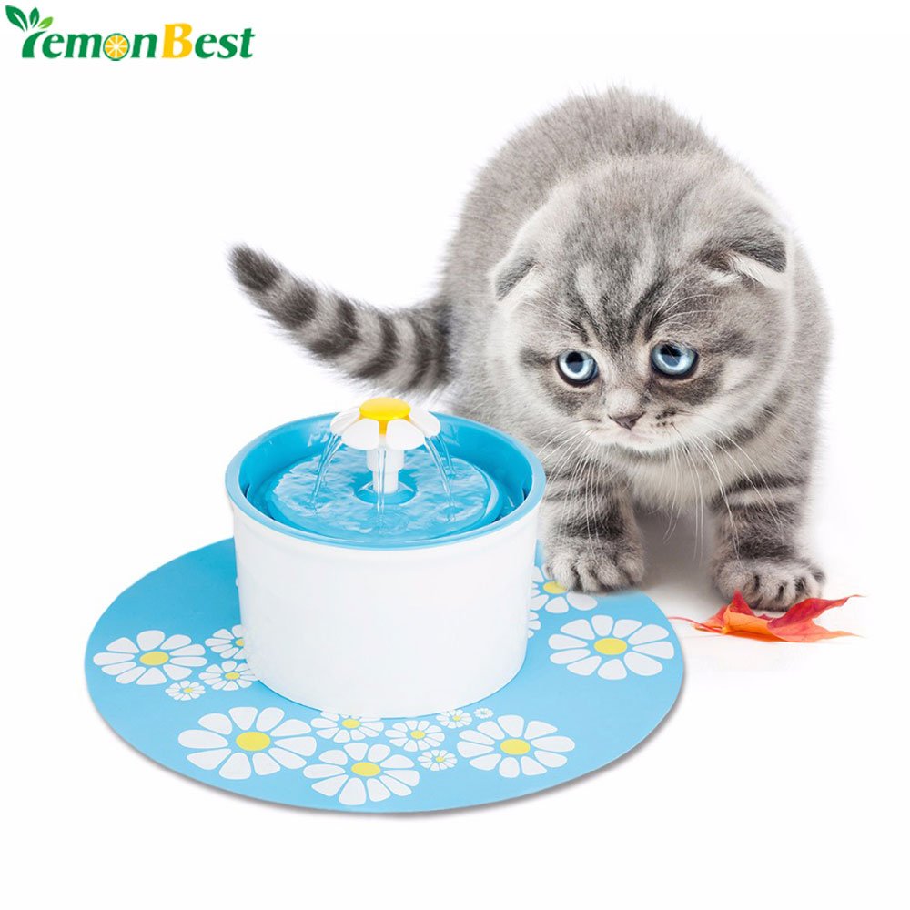 electric water dish for cats