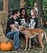 Ann Arbor T-shirt Co. Skeleton Rib Cage | Jumbo Print Novelty Halloween Costume Ladies' T-Shirt-Ladies, 2XL Black