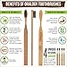 Natural Carved Bamboo Toothbrushes for Adults | Activated Charcoal Soft BPA Free Nylon Bristles for Teeth Whitening & Whitening Gums | Smooth Comfortable Biodegradable Design Handle | Pack of 4 Dental