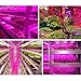OUEVA Plant Grow LED Light, 16.4ft/5M 5050 SMD Waterproof Full Spectrum Red Blue 5:1 Growing Lamp for Aquarium Greenhouse Hydroponic Plant, Garden Flowers Veg Grow Light (No Power Adapter/Plug)