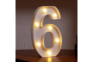 DYINGSWAN LED Marquee Numbers, Small Light Up Numbers for Party, 8.58 Inch Battery Powered Lighted Number for Birthday, Night Light, Table or Home Decor (Number 6)