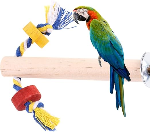 bird on a stick toy