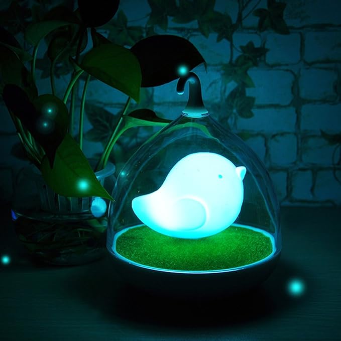 BonZeaL Bird Cage Night Lamp USB Rechargeable Blue LED Night Light Cute Valentine Gifts for Girlfriend Valentine Gift for boyfriend Love Valentines day Gift