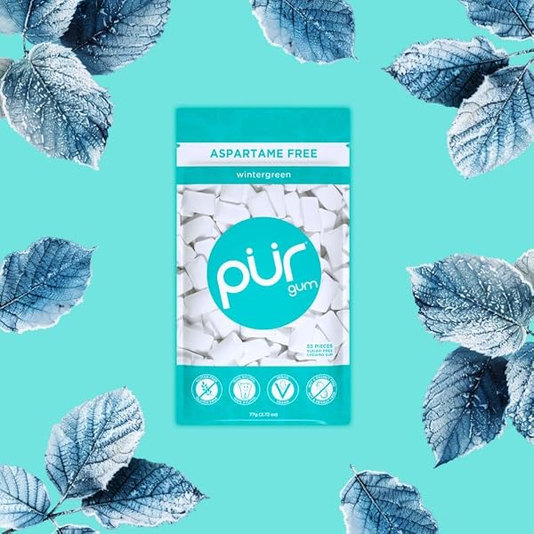 PUR GUM | ASPARTAME FREE CHEWING GUM | 100% XYLITOL | NATURAL WINTERGREEN FLAVORED GUM, 55 PIECES (PACK OF 3)