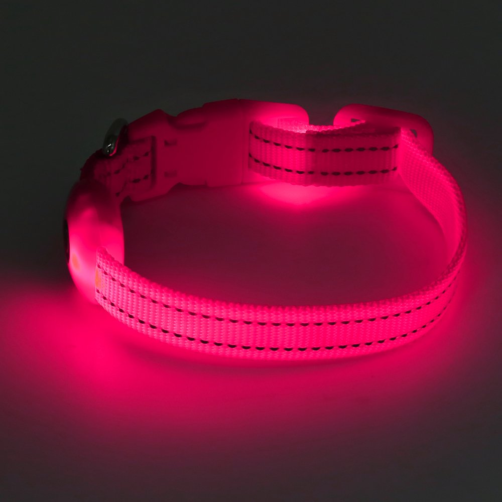 Clan_X Led Dog Collar, USB Rechargeable light up Pet Collar for small dogs, Glowing in the Dark Nylon Webbing Flashing Collar with Reflective Stitches Make Your Pets Visible & Safe (Pink)