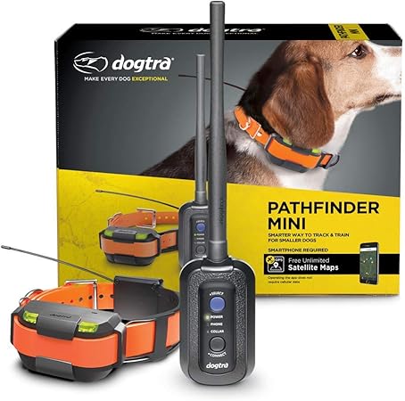 Dogtra pathfinder mini collar Clearance