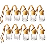 ConStore 10pcs Car Hanging Glass Bottle Empty