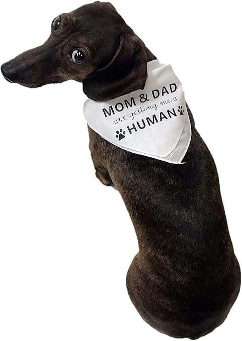 large pet shops near me