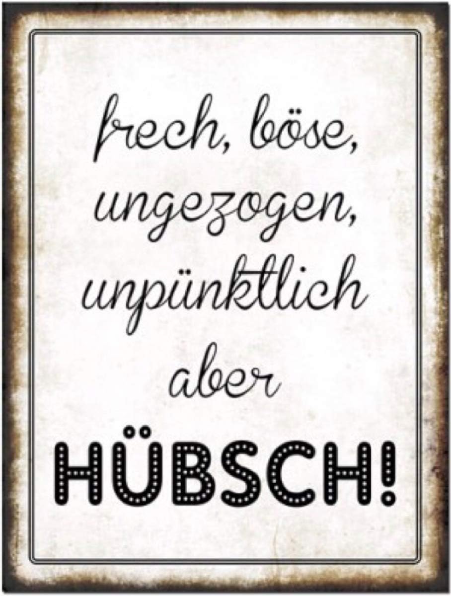 Download Boese spruch For Android