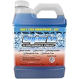 Engine Ice 1/2 Gallon