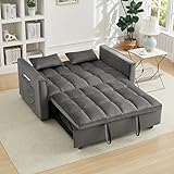 SUNPOKUILN Convertible Loveseat Sleeper Sofa Bed