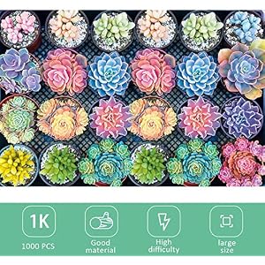Meryi-Succulent-Plants-Jigsaw-Puzzle-1000-Pieces-for-Adults-Adult-Children-Intellective-Educational-Toy-DIY-Collectibles-Modern-Home-Decoration