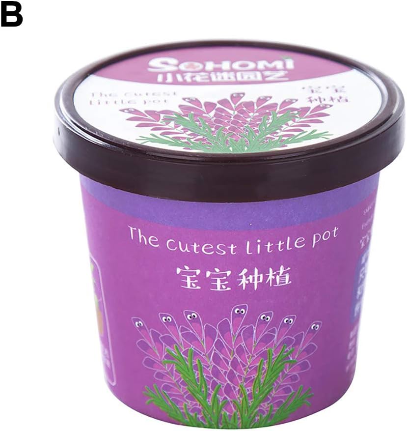 Best Herb Garden Box Lavender