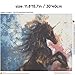 SWEETHOMEDECO 5D DIY Diamond Painting, Diamond Painting Full Drill, Large Size 15.7